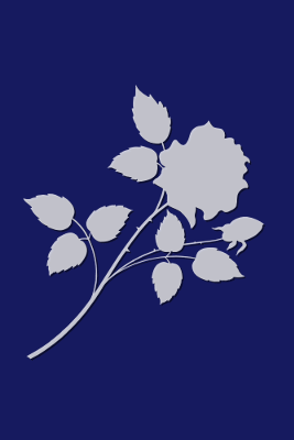 Flower Blue, par Xavier E. G. Dierick